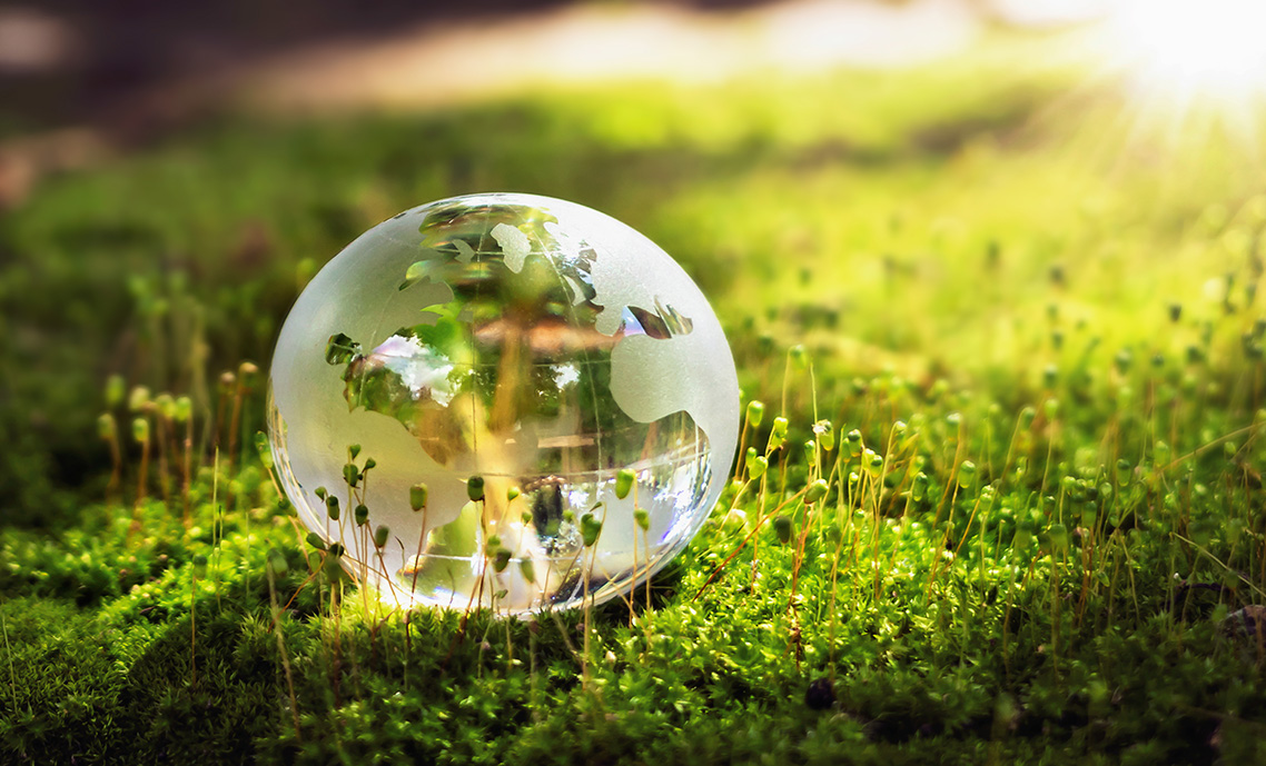 Our commitment to a greener future